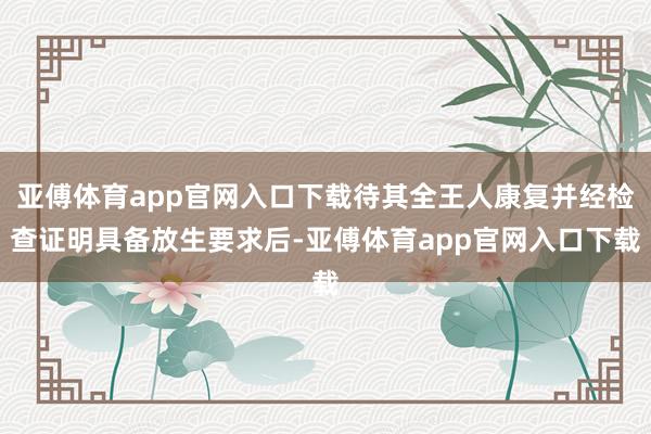 亚傅体育app官网入口下载待其全王人康复并经检查证明具备放生要求后-亚傅体育app官网入口下载