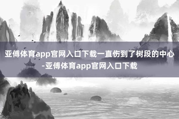 亚傅体育app官网入口下载一直伤到了树段的中心-亚傅体育app官网入口下载