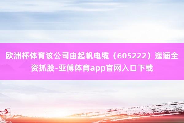 欧洲杯体育该公司由起帆电缆（605222）迤逦全资抓股-亚傅体育app官网入口下载