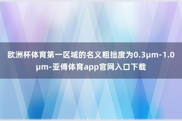 欧洲杯体育第一区域的名义粗拙度为0.3μm‑1.0μm-亚傅体育app官网入口下载