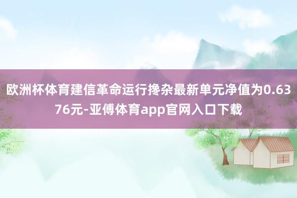 欧洲杯体育建信革命运行搀杂最新单元净值为0.6376元-亚傅体育app官网入口下载