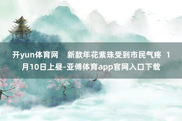 开yun体育网    新款年花紫珠受到市民气疼  1月10日上昼-亚傅体育app官网入口下载